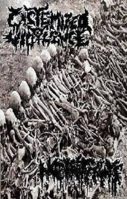 Metastasis (CAN) : Metastasis - Cistemized Violence